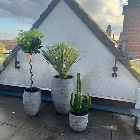 Penthouse With Awesome Terrace And Free Parking